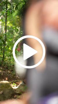 BIB:  <button type="button" onclick="openModal(27630904)" class="btn btn-primary btn-sm float-right" data-toggle="modal" data-target=".modal-high-quality">
                <i class="fa fa-download"></i> Download
                </button>